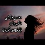 دانلود آهنگ محسن چاوشی دلگیرم از او - 